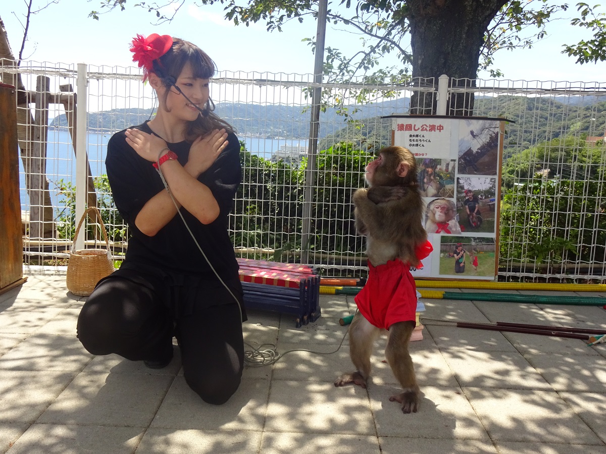 パフォーマンス3